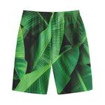 Green Tropical Banana Palm Leaf Print Cotton Shorts