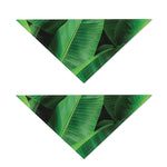 Green Tropical Banana Palm Leaf Print Dog Bandana