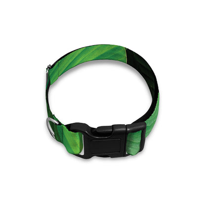 Green Tropical Banana Palm Leaf Print Dog Collar