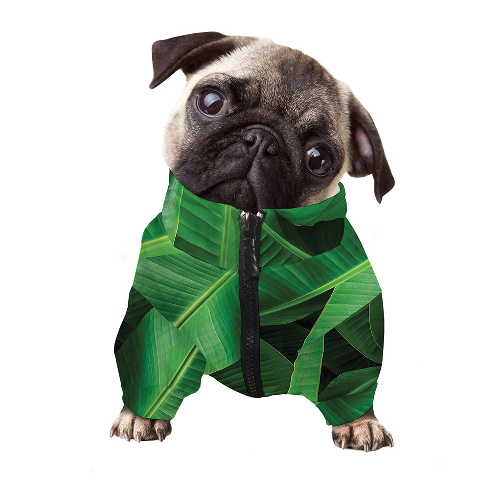 Green Tropical Banana Palm Leaf Print Dog Zip Up Jacket