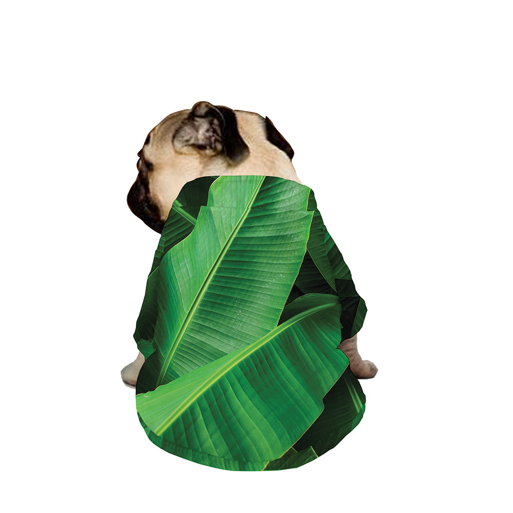 Green Tropical Banana Palm Leaf Print Dog Zip Up Jacket