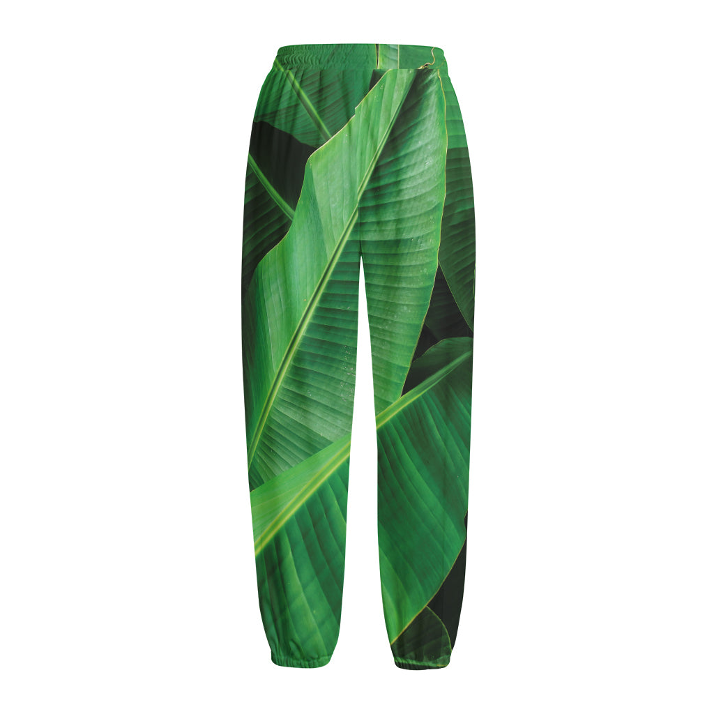 Green Tropical Banana Palm Leaf Print Fleece Lined Knit Pants