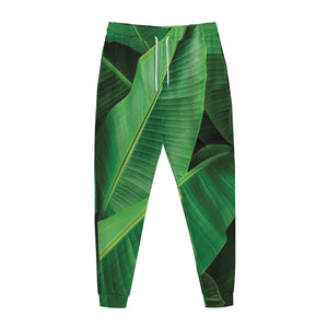 Green Tropical Banana Palm Leaf Print Jogger Pants