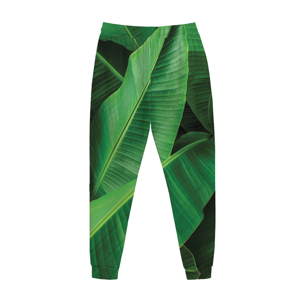 Green Tropical Banana Palm Leaf Print Jogger Pants