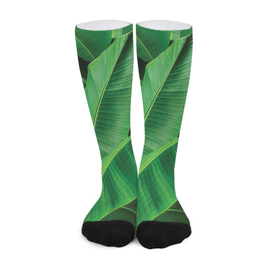 Green Tropical Banana Palm Leaf Print Long Socks