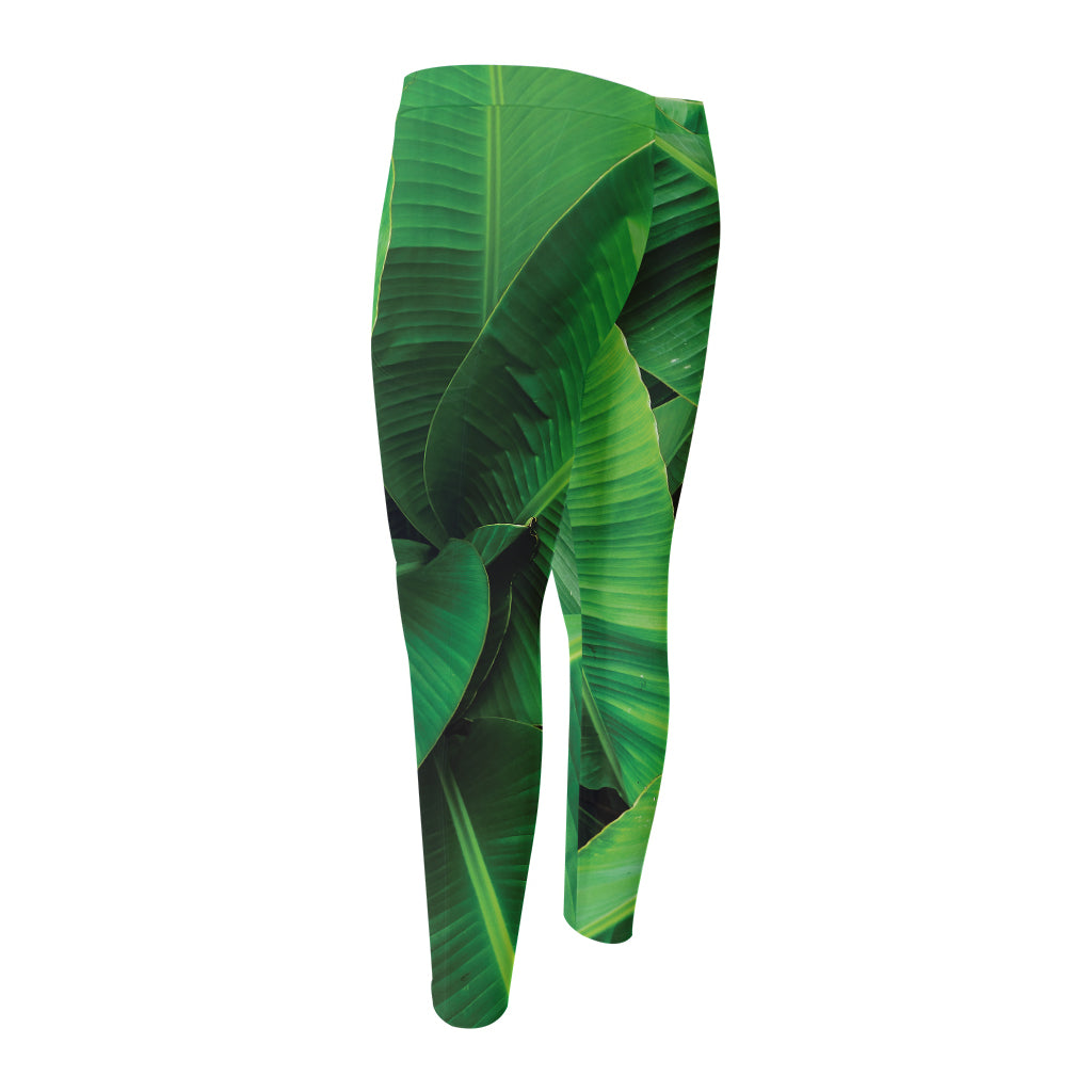 Green Tropical Banana Palm Leaf Print Men's Compression Pants