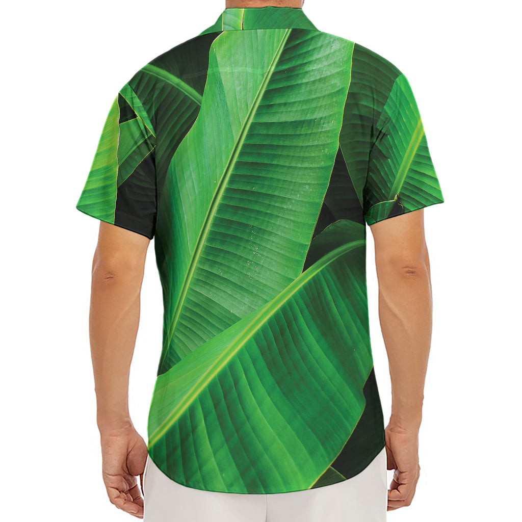 Green Tropical Banana Palm Leaf Print Men's Deep V-Neck Shirt