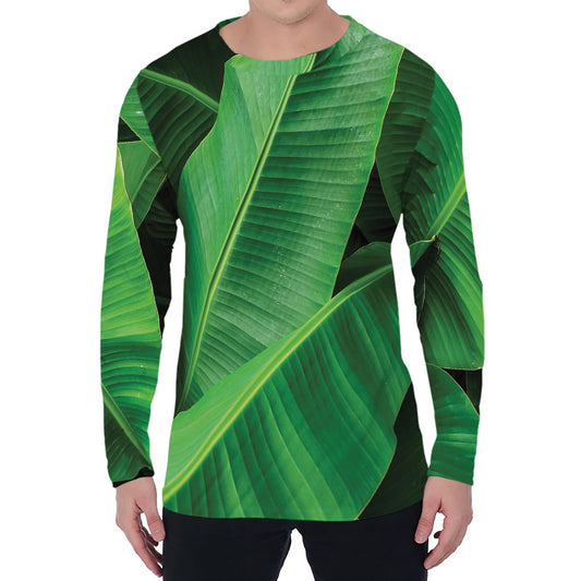 Green Tropical Banana Palm Leaf Print Men's Long Sleeve T-Shirt
