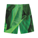 Green Tropical Banana Palm Leaf Print Men's Sports Shorts