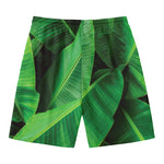 Green Tropical Banana Palm Leaf Print Men's Swim Trunks