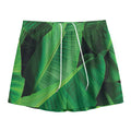 Green Tropical Banana Palm Leaf Print Mesh Shorts