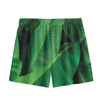 Green Tropical Banana Palm Leaf Print Mesh Shorts