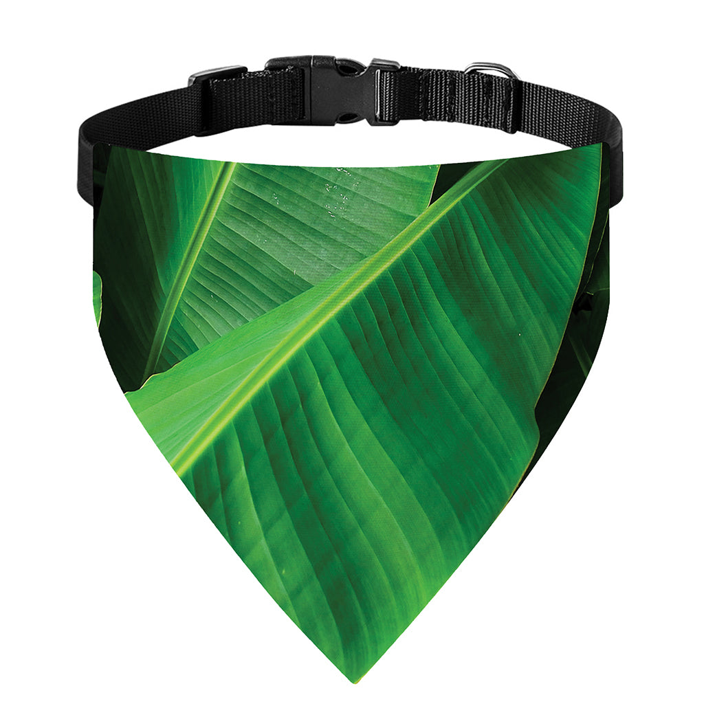 Green Tropical Banana Palm Leaf Print Over The Collar Dog Bandana
