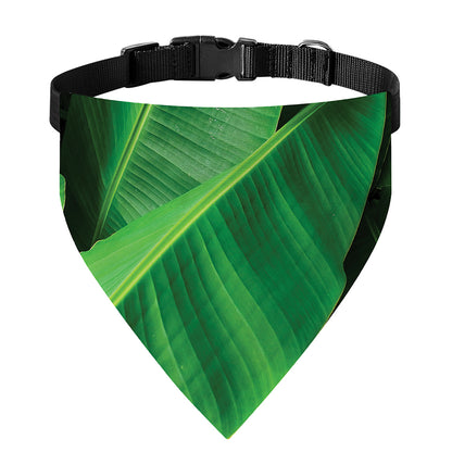 Green Tropical Banana Palm Leaf Print Over The Collar Dog Bandana