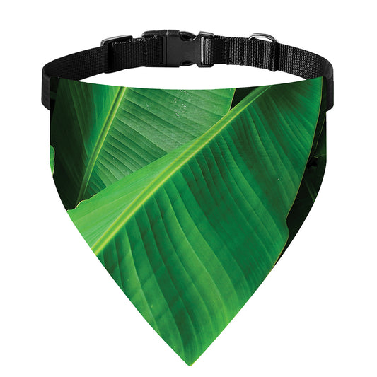 Green Tropical Banana Palm Leaf Print Over The Collar Dog Bandana