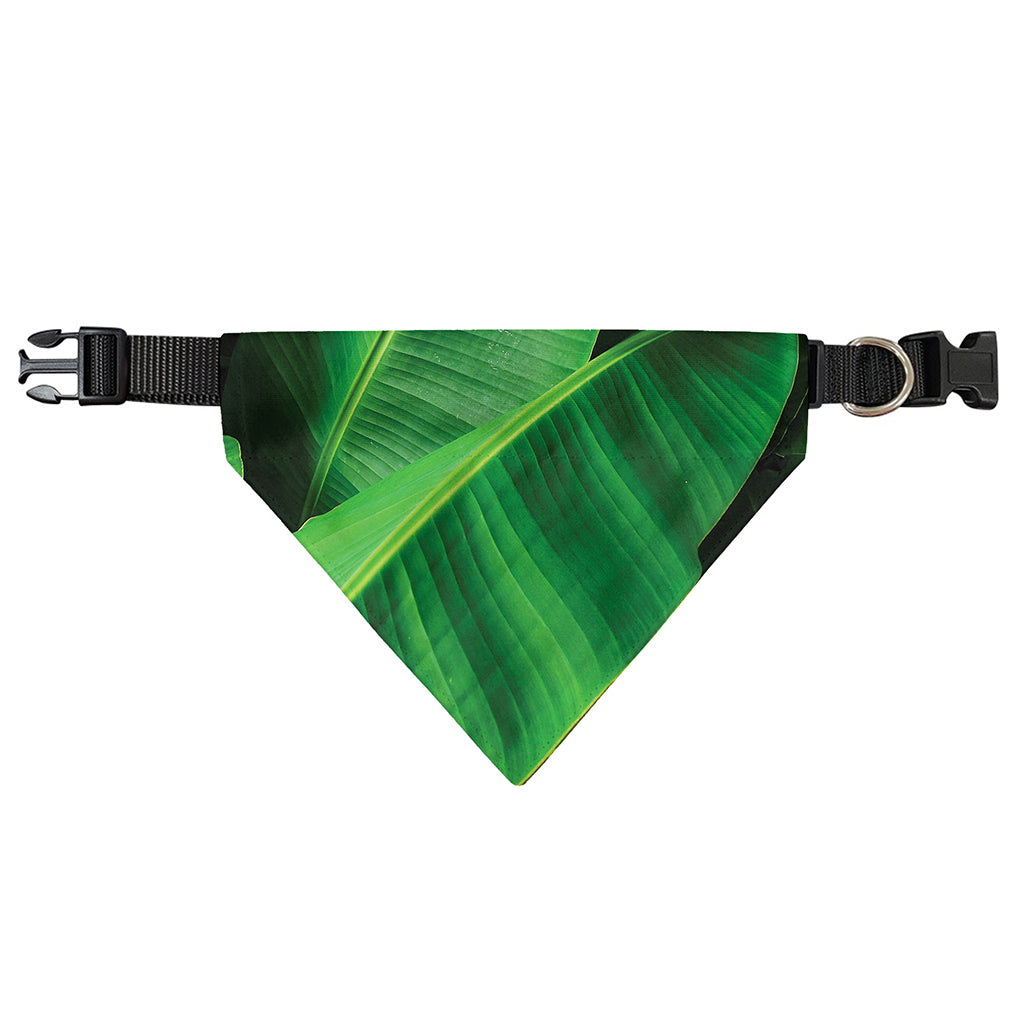Green Tropical Banana Palm Leaf Print Over The Collar Dog Bandana