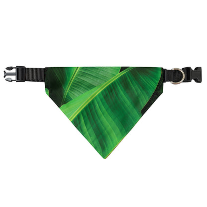 Green Tropical Banana Palm Leaf Print Over The Collar Dog Bandana