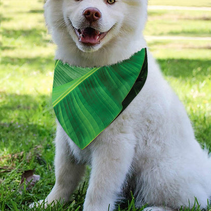 Green Tropical Banana Palm Leaf Print Over The Collar Dog Bandana