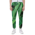 Green Tropical Banana Palm Leaf Print Scuba Joggers