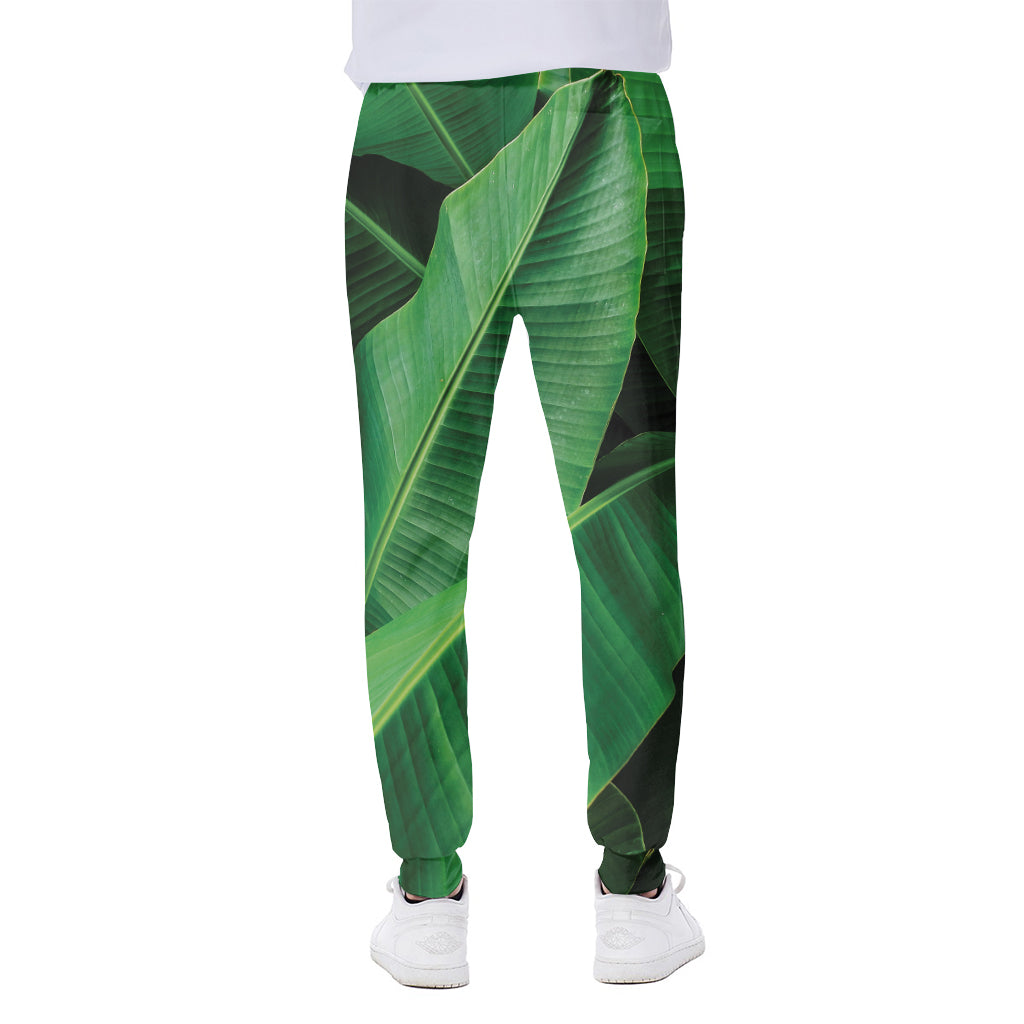 Green Tropical Banana Palm Leaf Print Scuba Joggers