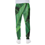 Green Tropical Banana Palm Leaf Print Scuba Joggers