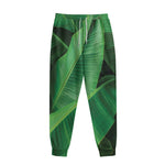 Green Tropical Banana Palm Leaf Print Sweatpants