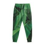 Green Tropical Banana Palm Leaf Print Sweatpants
