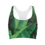 Green Tropical Banana Palm Leaf Print Women's Sports Bra