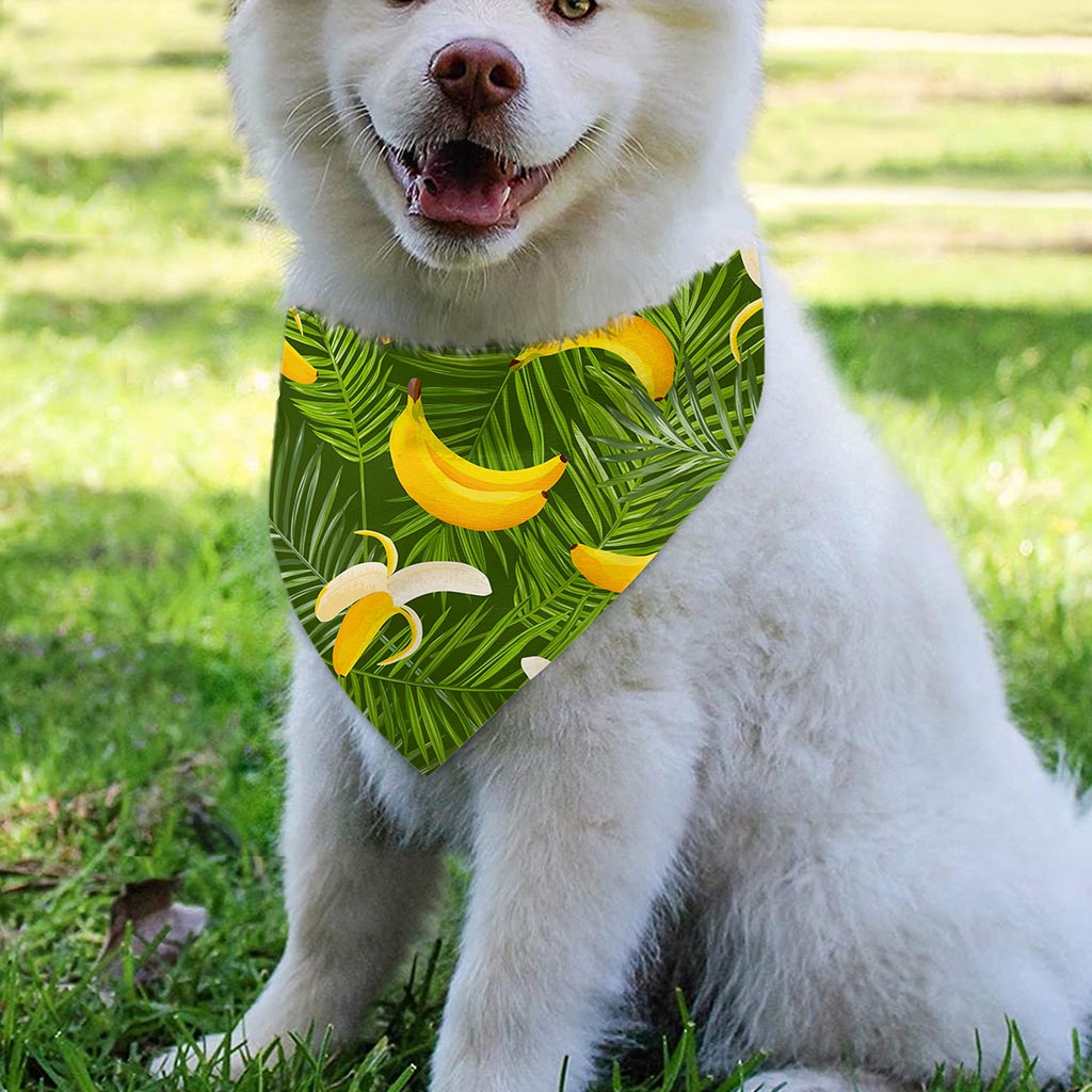 Green Tropical Banana Pattern Print Over The Collar Dog Bandana