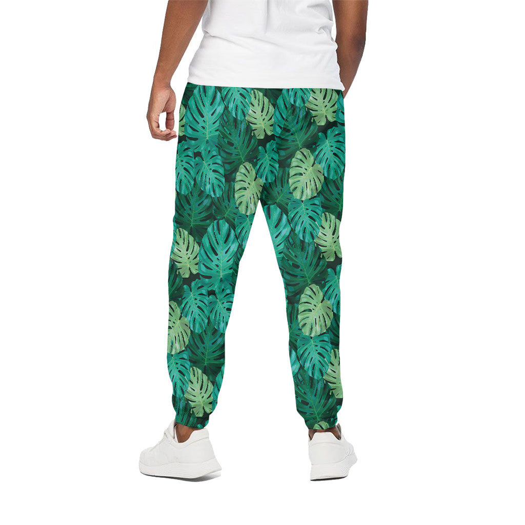 Green Tropical Monstera Pattern Print Cotton Pants