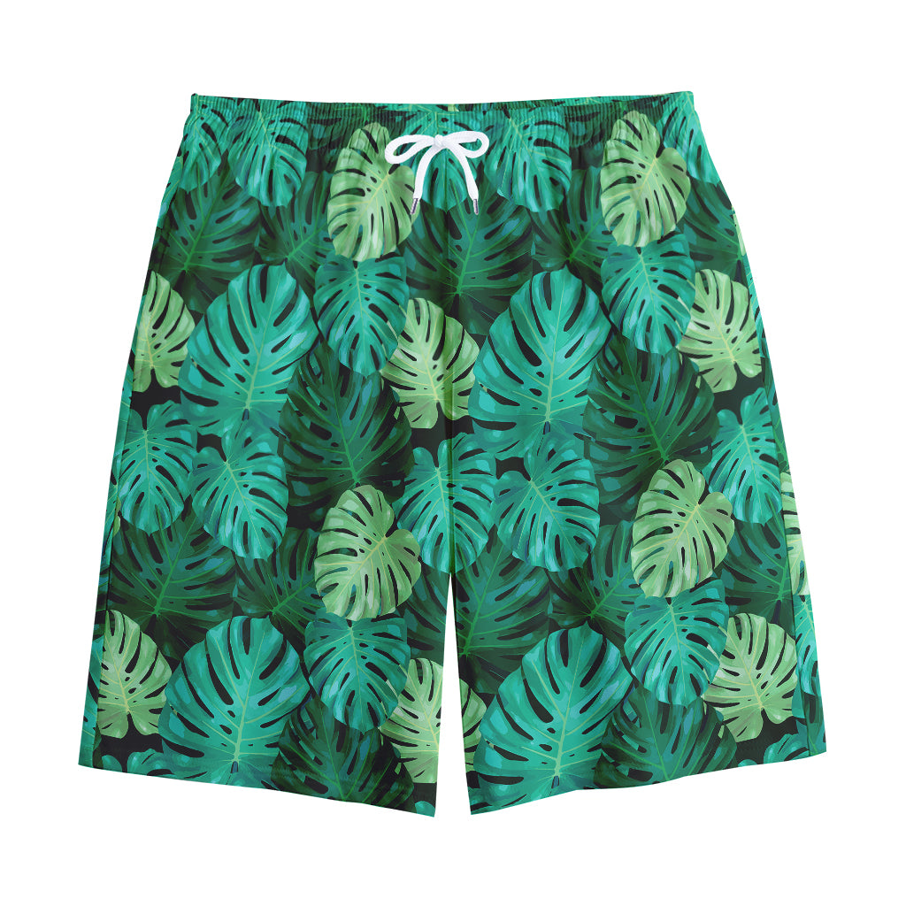 Green Tropical Monstera Pattern Print Cotton Shorts