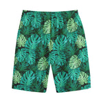 Green Tropical Monstera Pattern Print Cotton Shorts