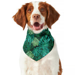 Green Tropical Monstera Pattern Print Dog Bandana