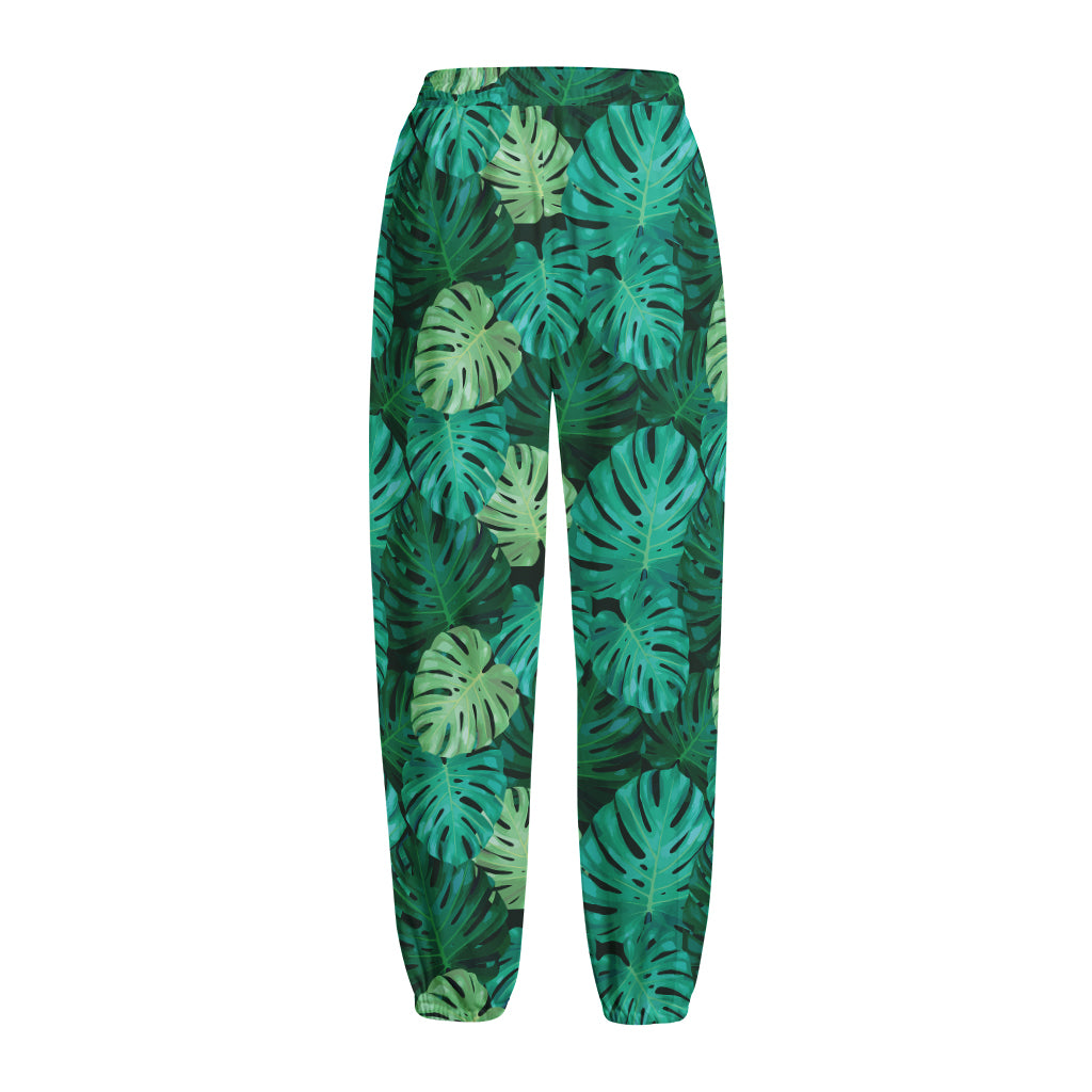 Green Tropical Monstera Pattern Print Fleece Lined Knit Pants