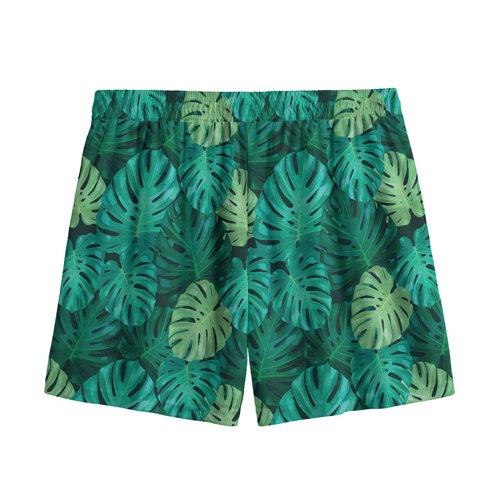 Green Tropical Monstera Pattern Print Mesh Shorts