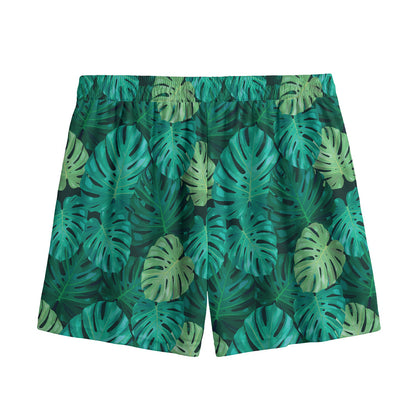 Green Tropical Monstera Pattern Print Mesh Shorts