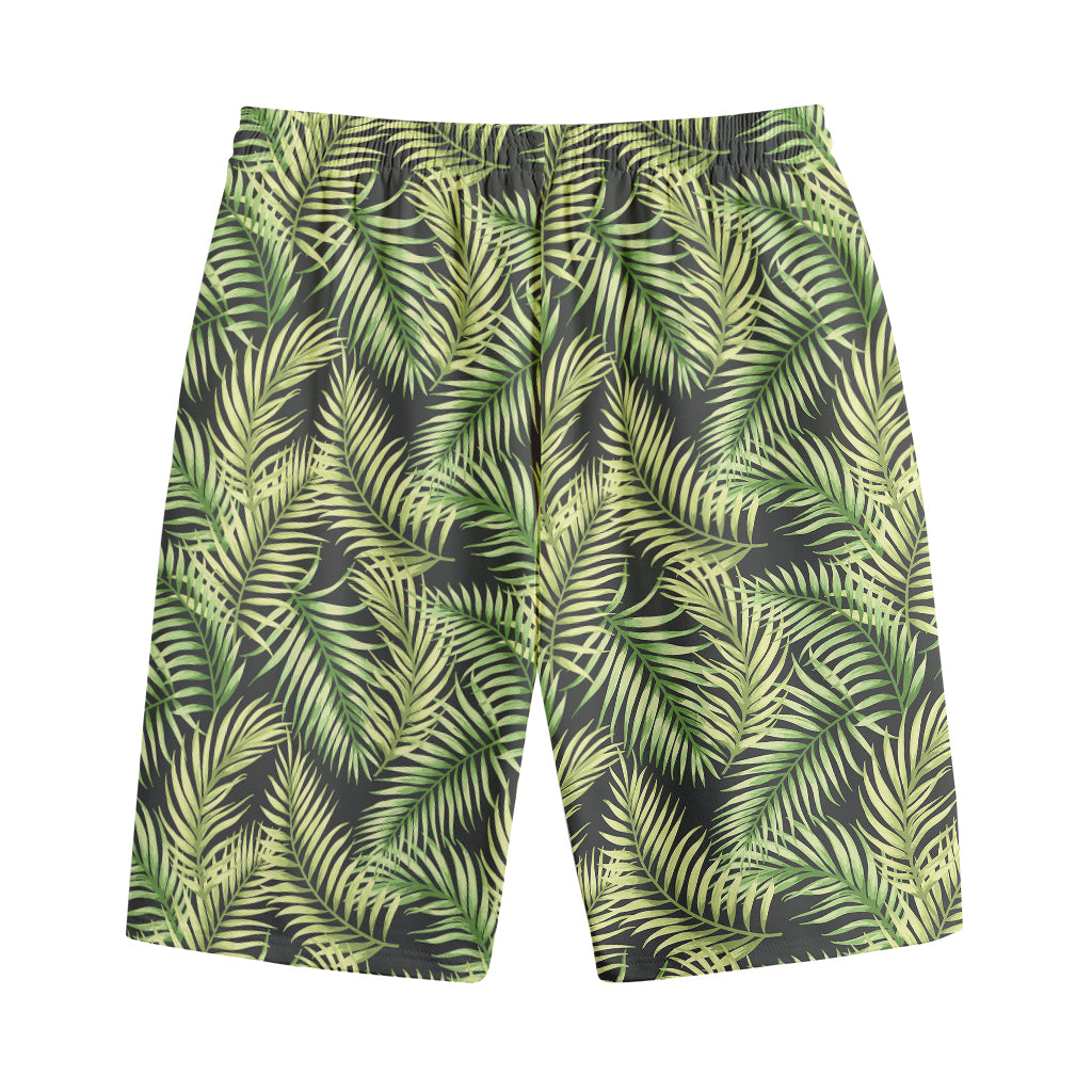 Green Tropical Palm Leaf Pattern Print Cotton Shorts