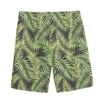 Green Tropical Palm Leaf Pattern Print Men's Sports Shorts