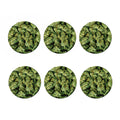 Green Weed Print Coaster Set