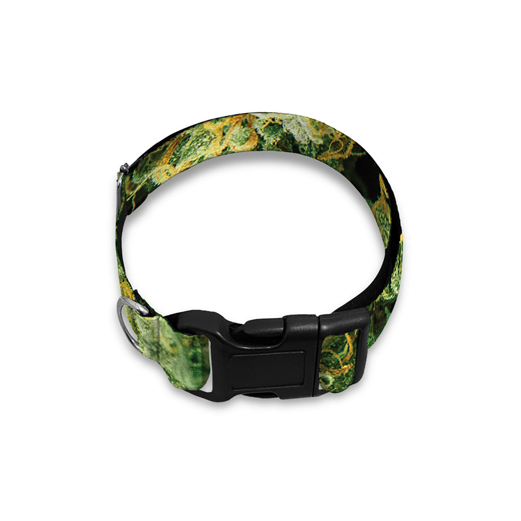 Green Weed Print Dog Collar