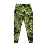 Green Weed Print Jogger Pants
