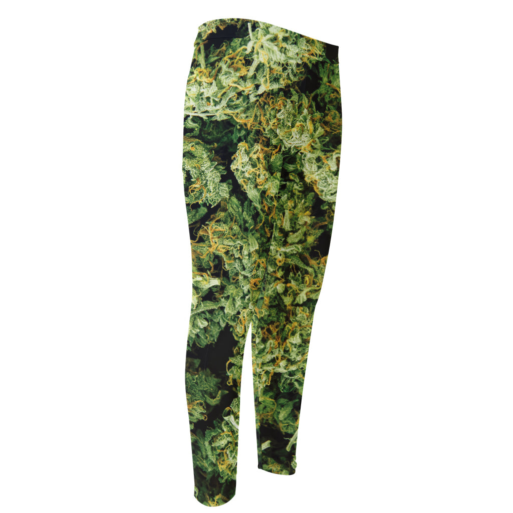 Green Weed Print Men's Compression Pants