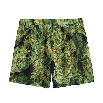 Green Weed Print Mesh Shorts