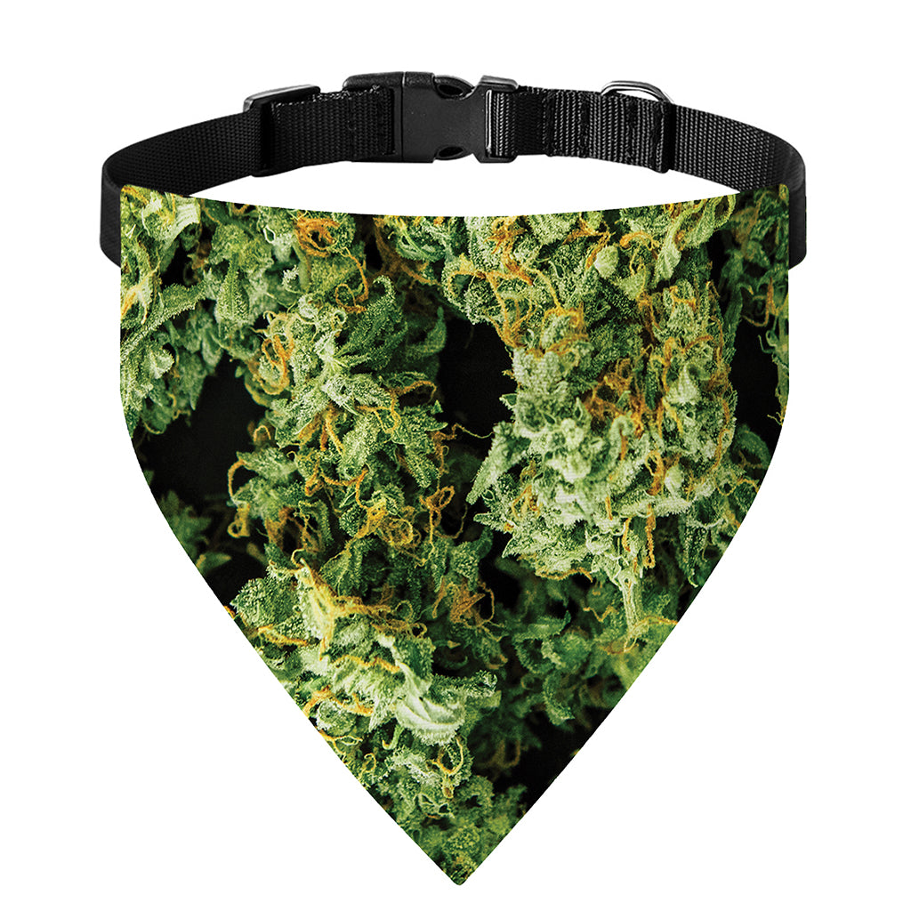 Green Weed Print Over The Collar Dog Bandana