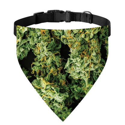 Green Weed Print Over The Collar Dog Bandana