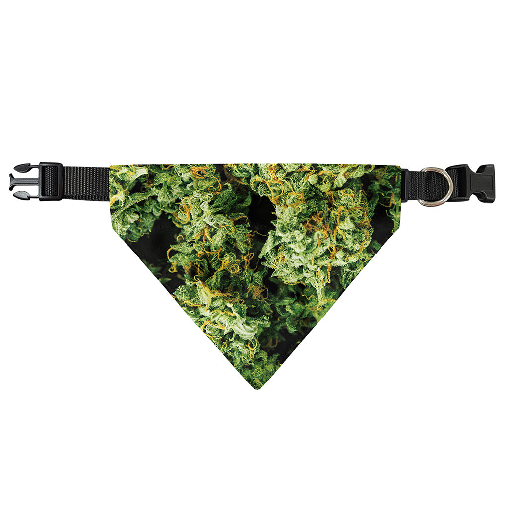 Green Weed Print Over The Collar Dog Bandana