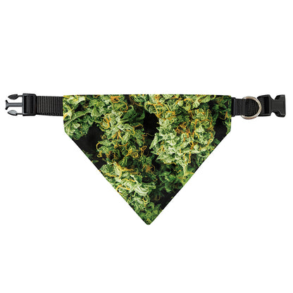 Green Weed Print Over The Collar Dog Bandana