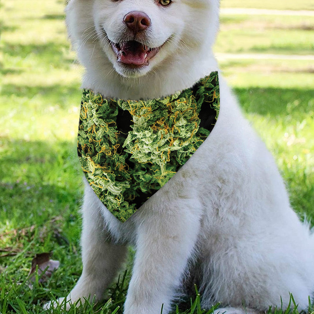 Green Weed Print Over The Collar Dog Bandana