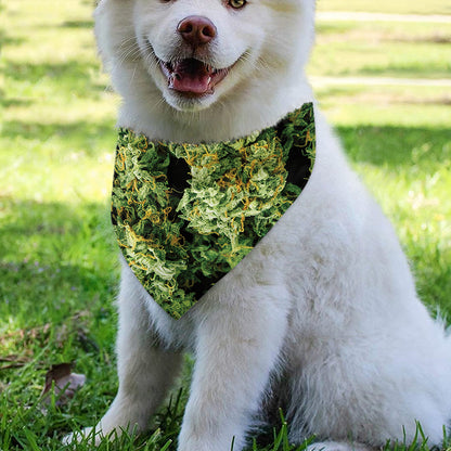 Green Weed Print Over The Collar Dog Bandana