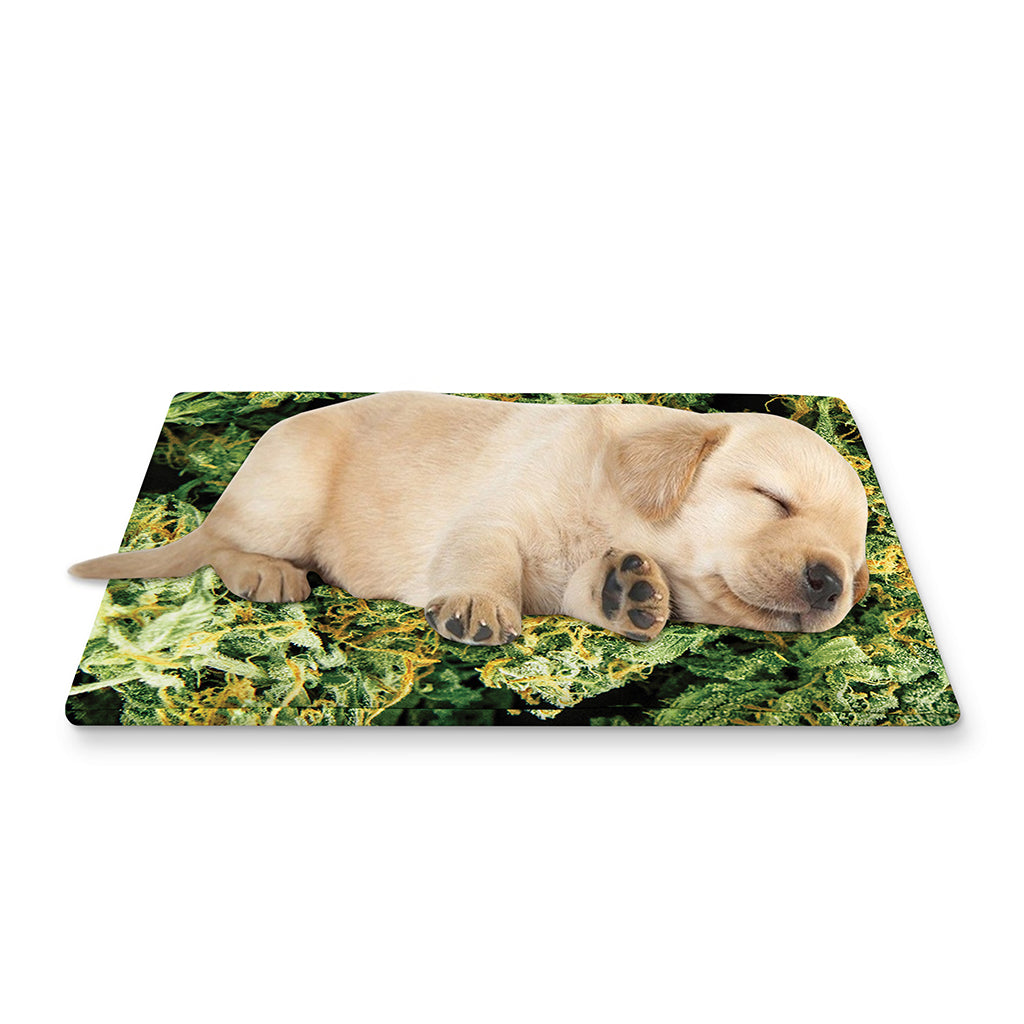 Green Weed Print Pet Cooling Mat Cover